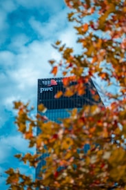 A modern skyscraper with the PwC logo is partially obscured by out-of-focus autumn leaves in the foreground. The building is set against a backdrop of a bright, cloudy sky.