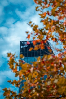 A modern skyscraper with the PwC logo is partially obscured by out-of-focus autumn leaves in the foreground. The building is set against a backdrop of a bright, cloudy sky.