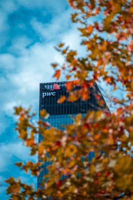 A modern skyscraper with the PwC logo is partially obscured by out-of-focus autumn leaves in the foreground. The building is set against a backdrop of a bright, cloudy sky.