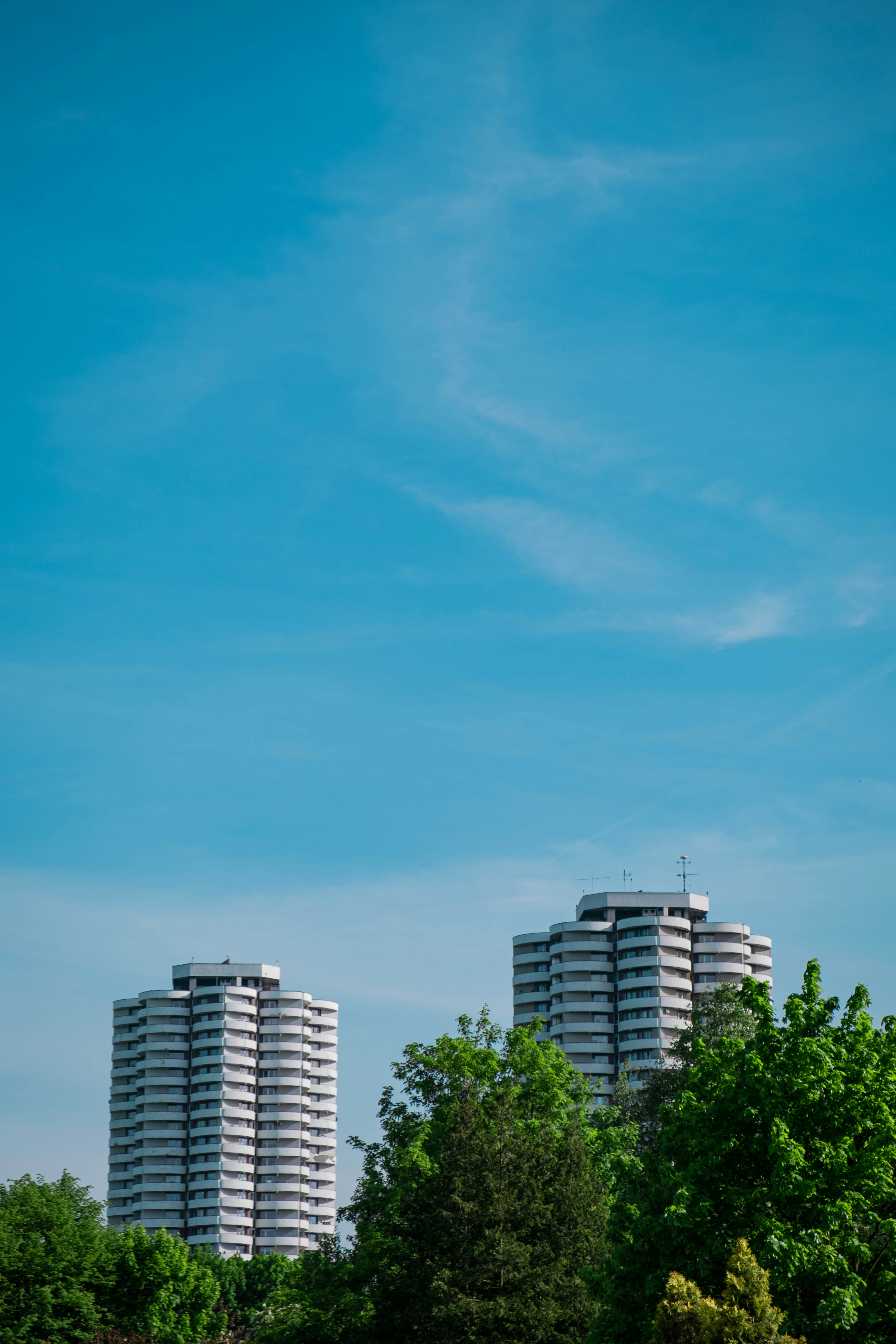 Photo by mat7451