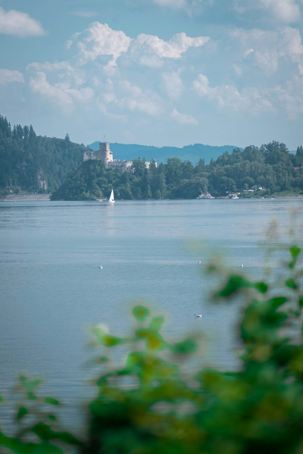 uno specchio d'acqua circondato da alberi e un castello