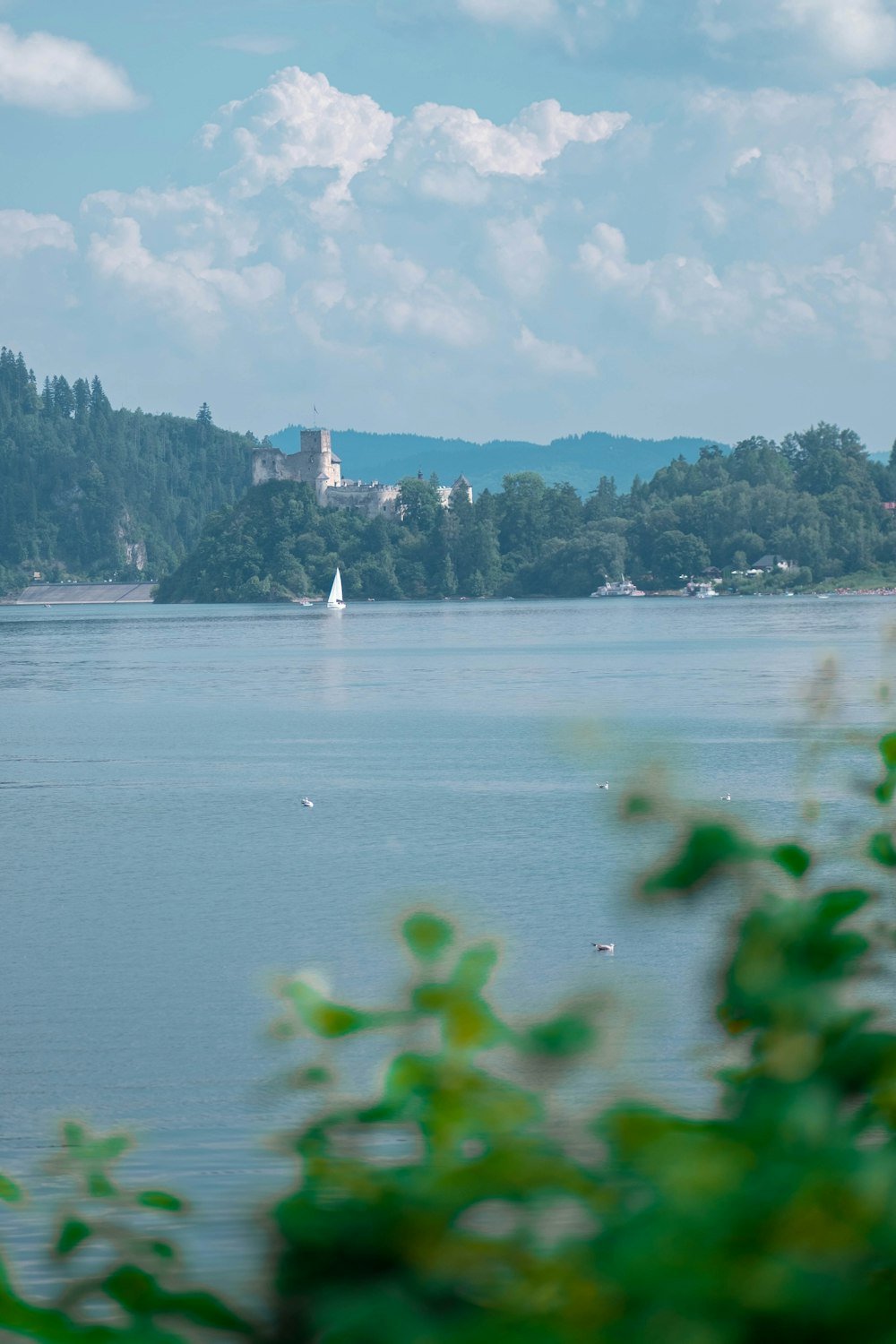 a body of water surrounded by trees and a castle