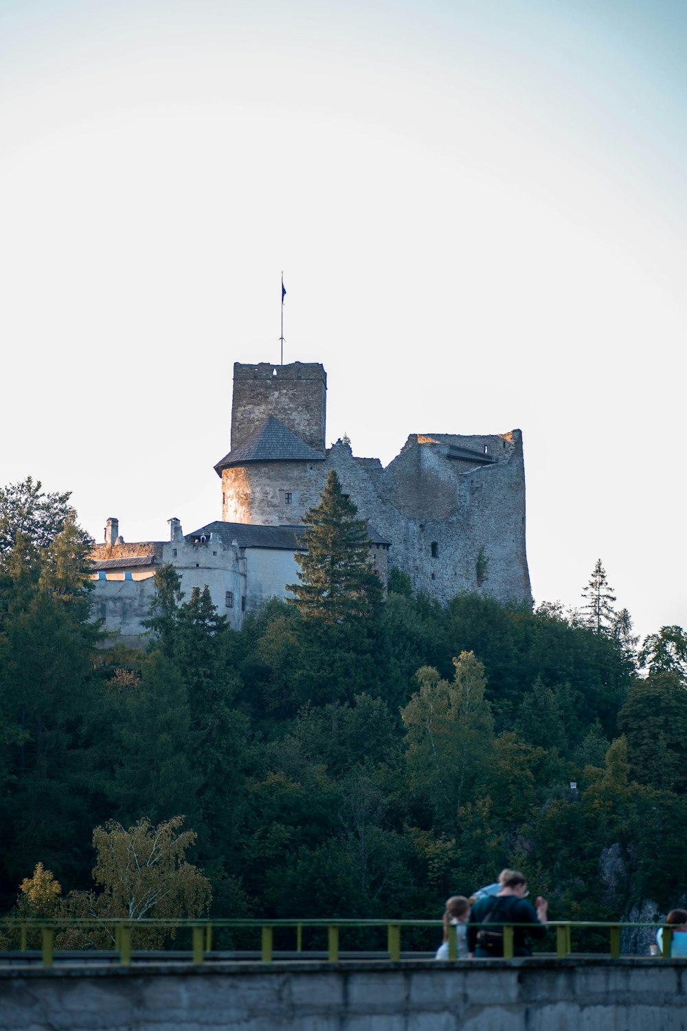 a castle on top of a hill surrounded by trees