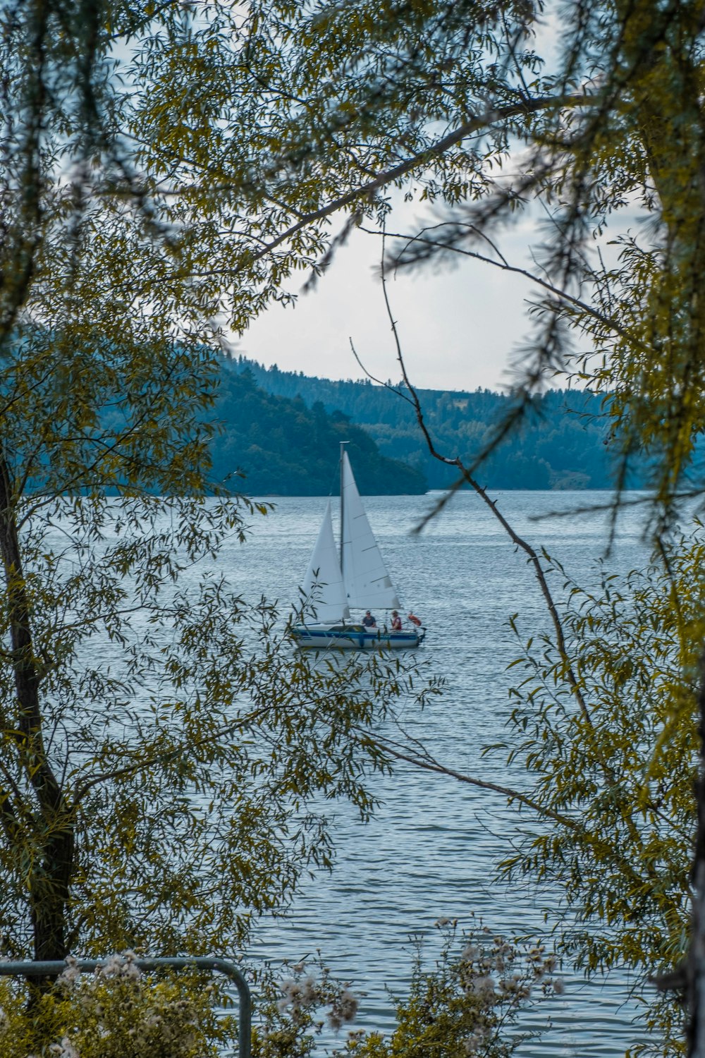 前景に木々が生い茂る湖に浮かぶ帆船