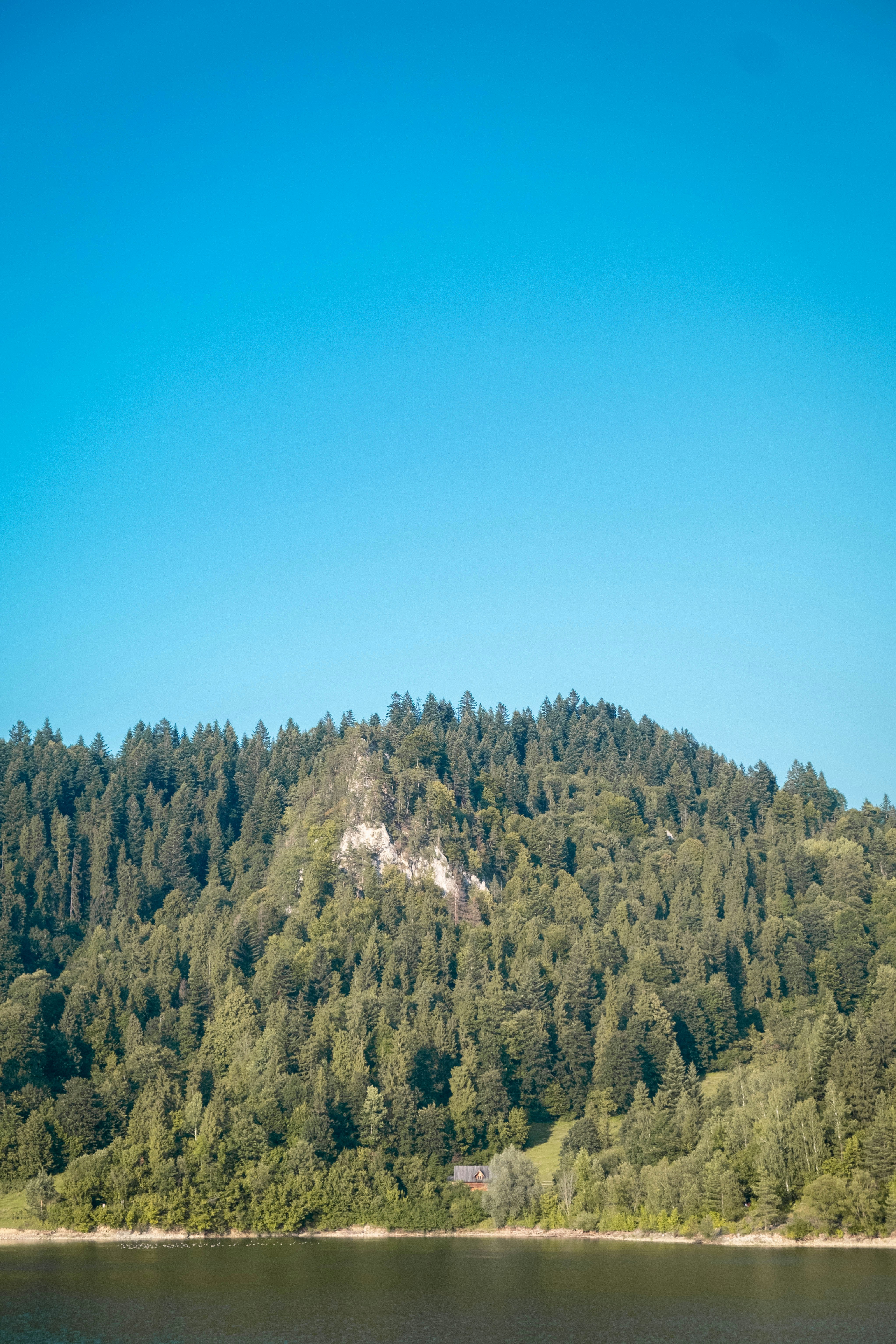 un grande specchio d'acqua circondato da una foresta