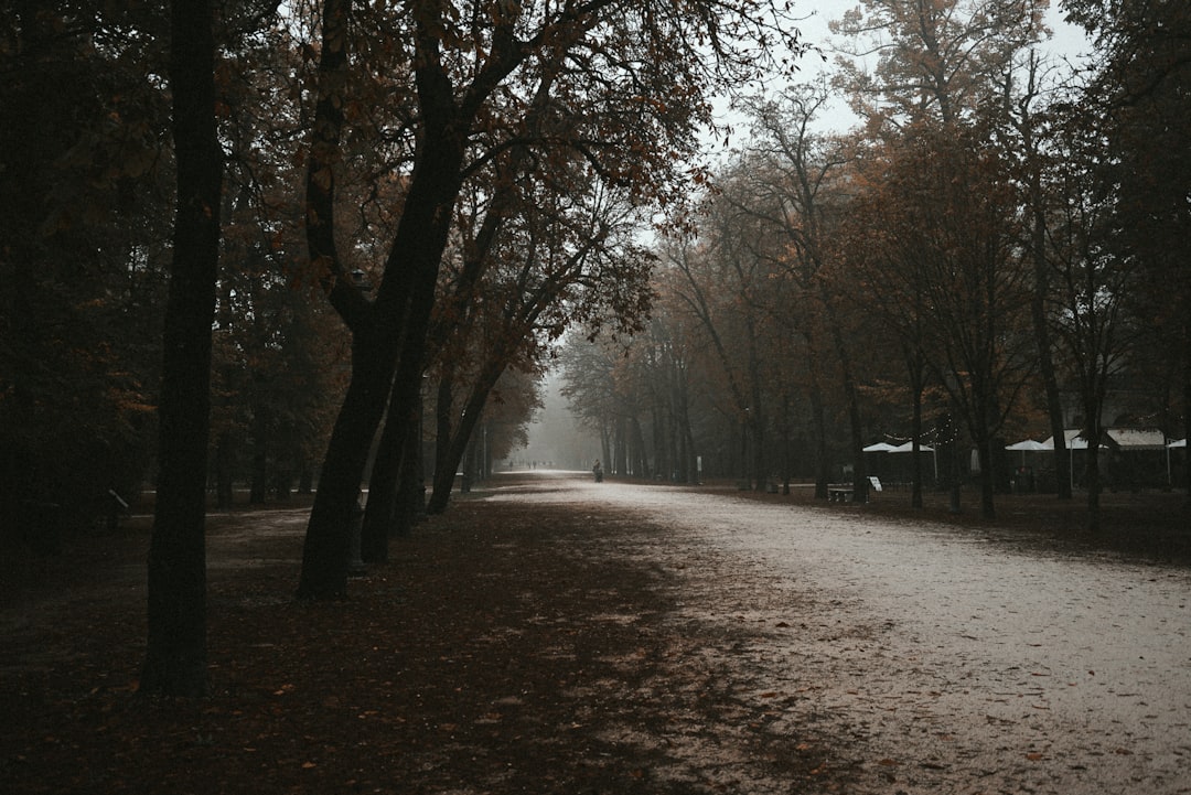 알리익스프레스8월할인코드