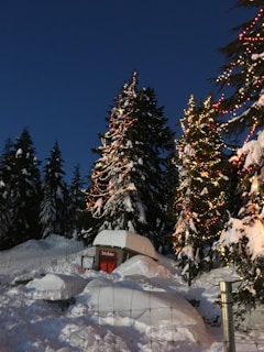 Snow-covered trees are decorated with colorful lights, creating a festive atmosphere. In the foreground, there is a small, snow-topped red structure labeled 'Santa's Mailbox' surrounded by fresh, untouched snow. The setting is serene with the dark blue evening sky as the backdrop.