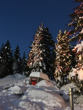 Snow-covered trees are decorated with colorful lights, creating a festive atmosphere. In the foreground, there is a small, snow-topped red structure labeled 'Santa's Mailbox' surrounded by fresh, untouched snow. The setting is serene with the dark blue evening sky as the backdrop.
