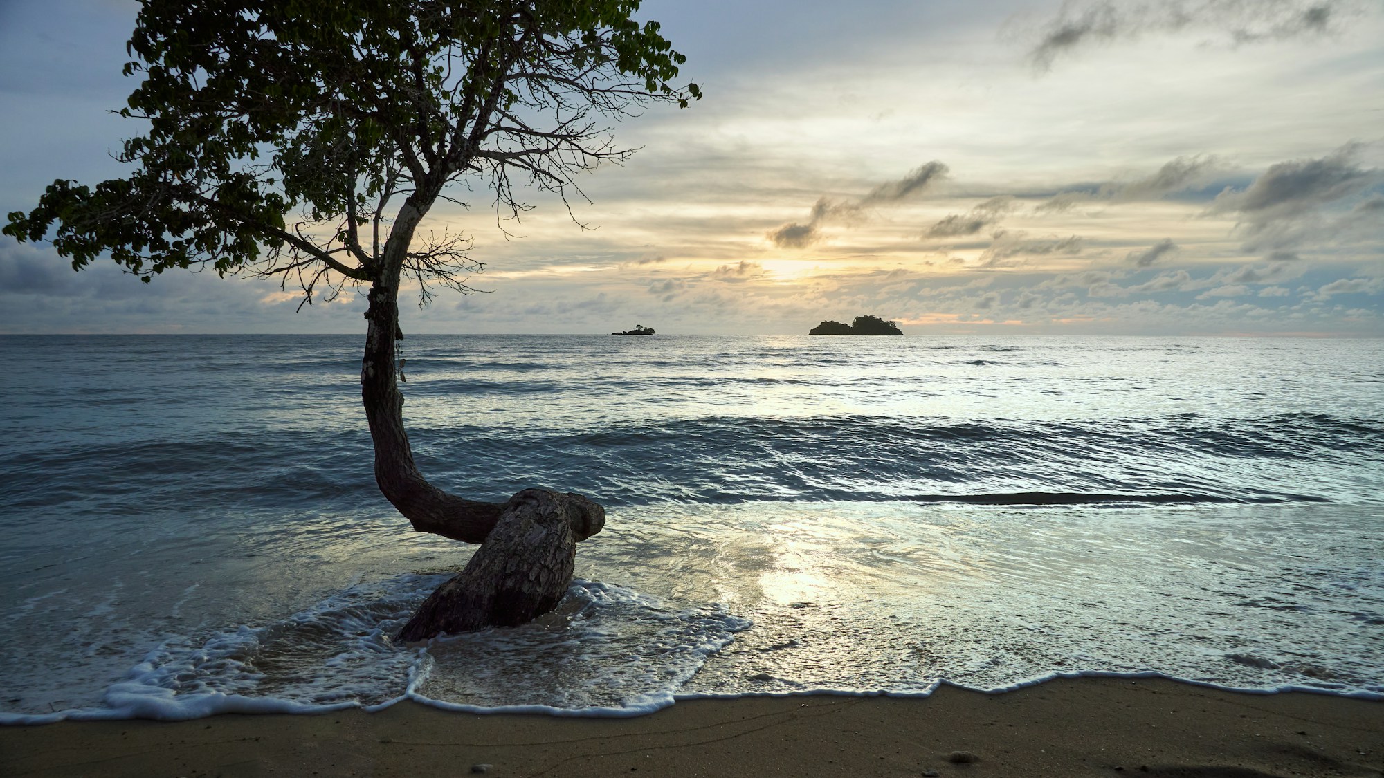 Exploring Koh Chang's Authentic Cuisine: Dishes, Restaurants & Recipes