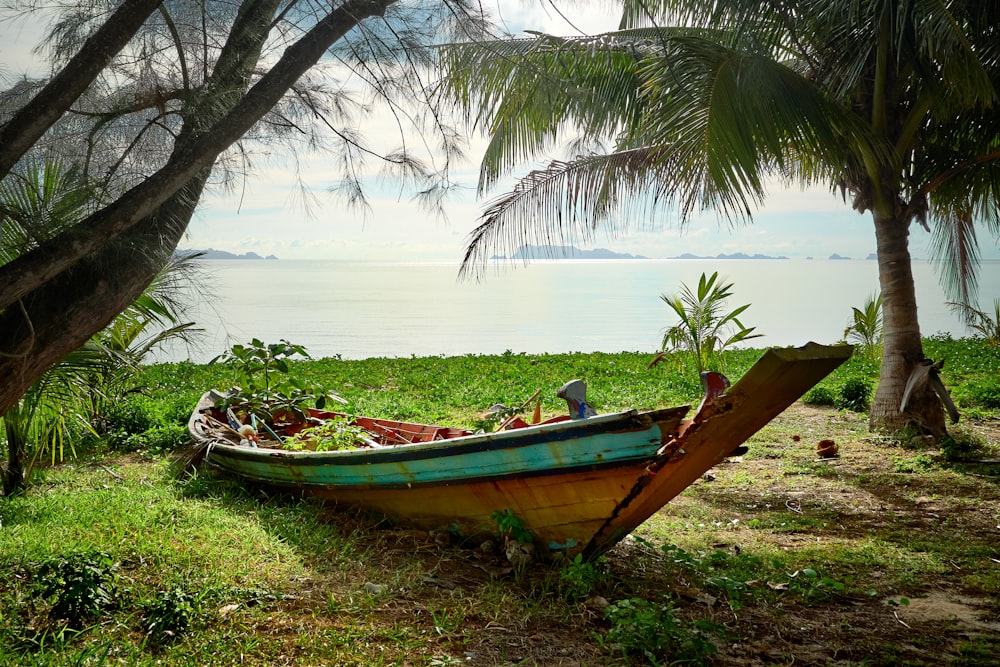 a boat sitting on top of a lush green field
