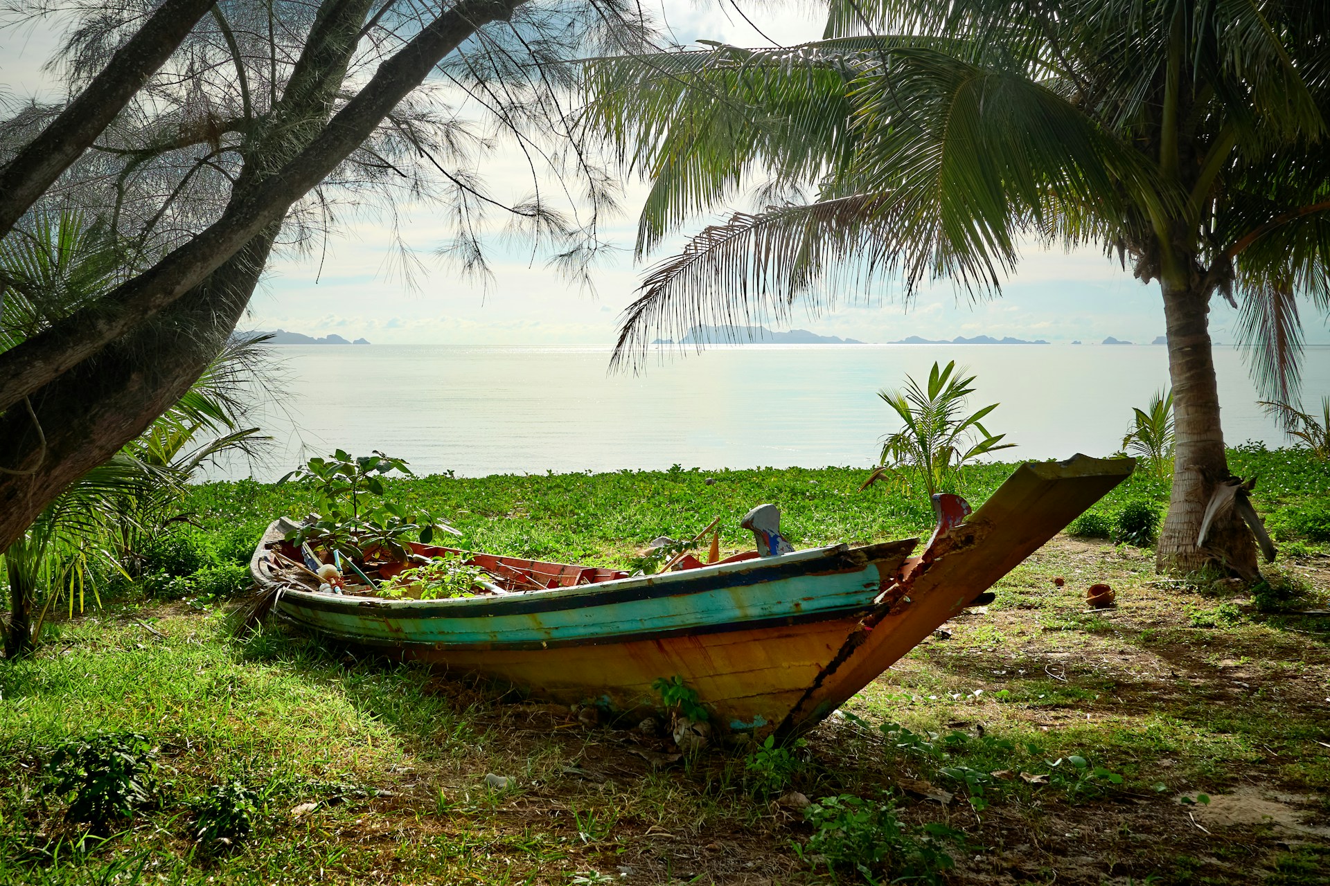 a boat sitting on top of a lush green field