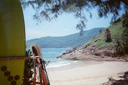 A serene beach scene with a blue sky and gentle waves lapping at the shore. In the foreground, several surfboards are propped up in front of a lush, green cliff. The sandy beach is untouched and peaceful, with trees providing shade.
