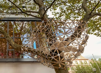 A large geodesic structure is intertwined with the branches of a tree. The structure is made of interlocking wooden pieces, forming a dome-like shape, and contains textured, triangular fabric elements within the framework. The tree is in front of a building with large windows, reflecting the outside environment.