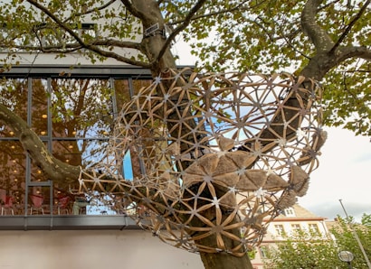 A large geodesic structure is intertwined with the branches of a tree. The structure is made of interlocking wooden pieces, forming a dome-like shape, and contains textured, triangular fabric elements within the framework. The tree is in front of a building with large windows, reflecting the outside environment.
