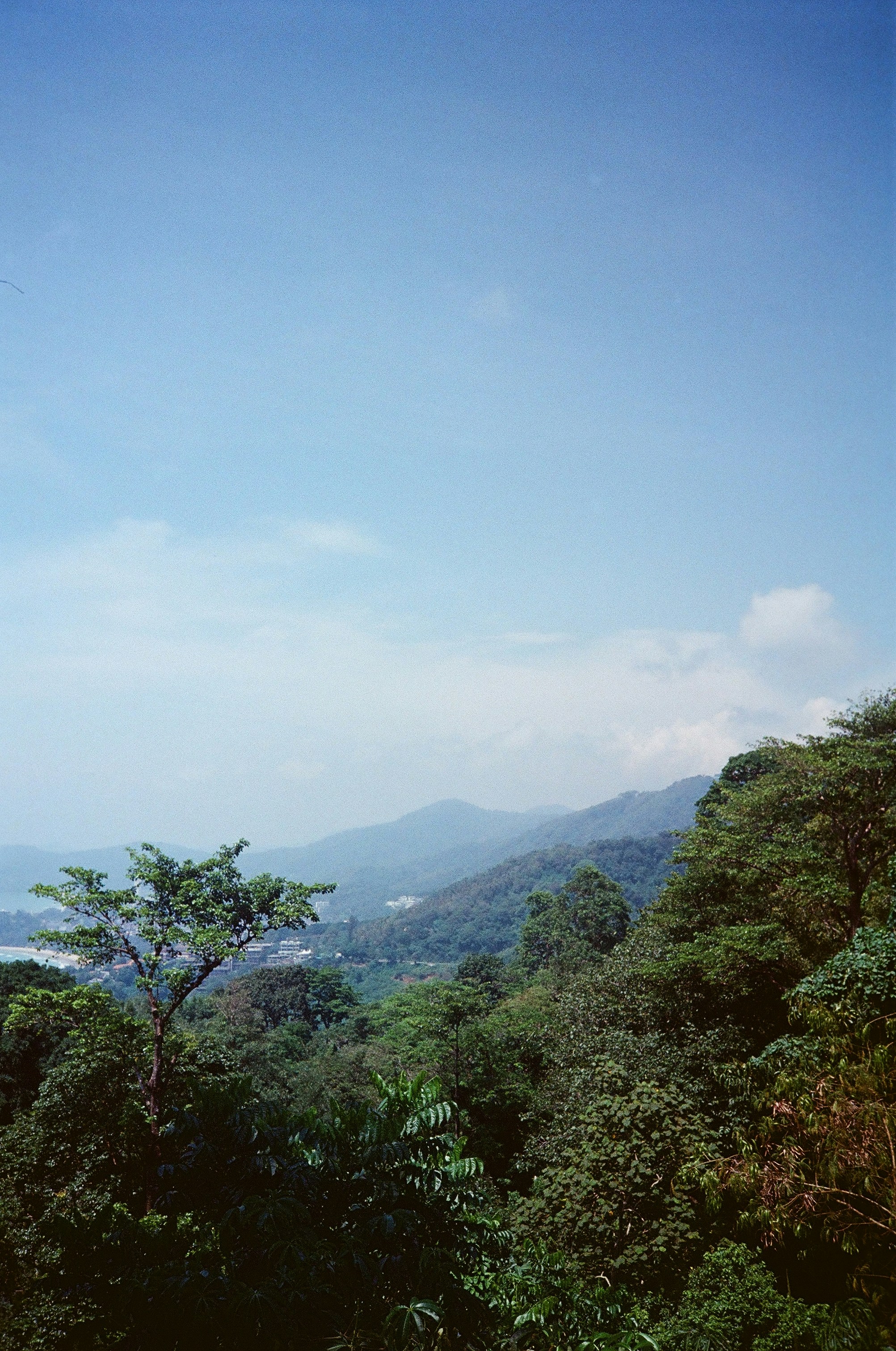 Photo by zhashkevych