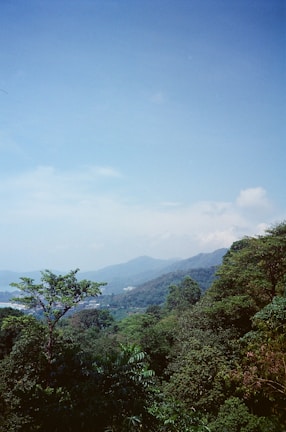 A panoramic view of a mountainous landscape with lush greenery under a clear sky.