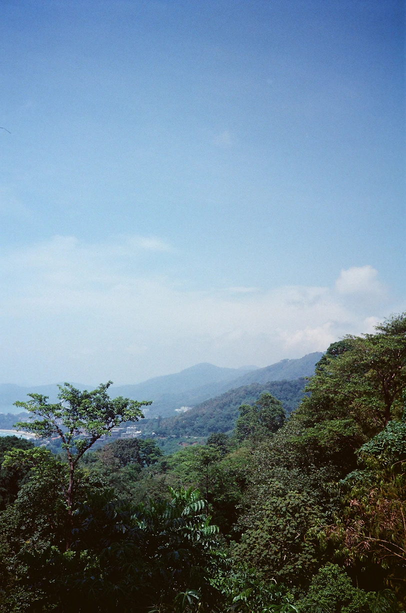 A panoramic view of Sigiriya Rock Fortress surrounded by lush greenery under a clear blue sky.