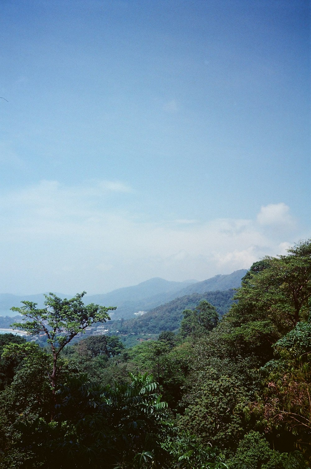 a view of the mountains and trees from a hill