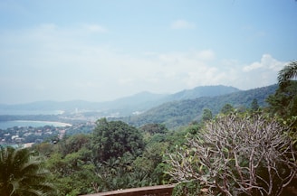 A scenic view of the lush green Konkan landscape.