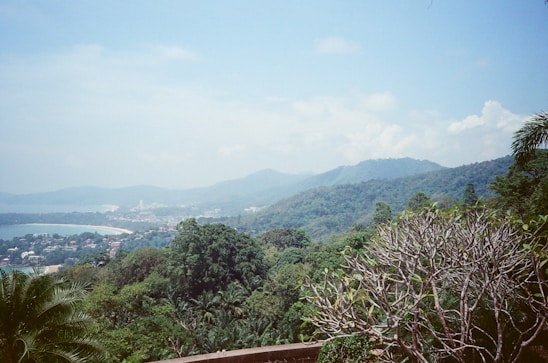 A scenic view of the lush green Konkan landscape.
