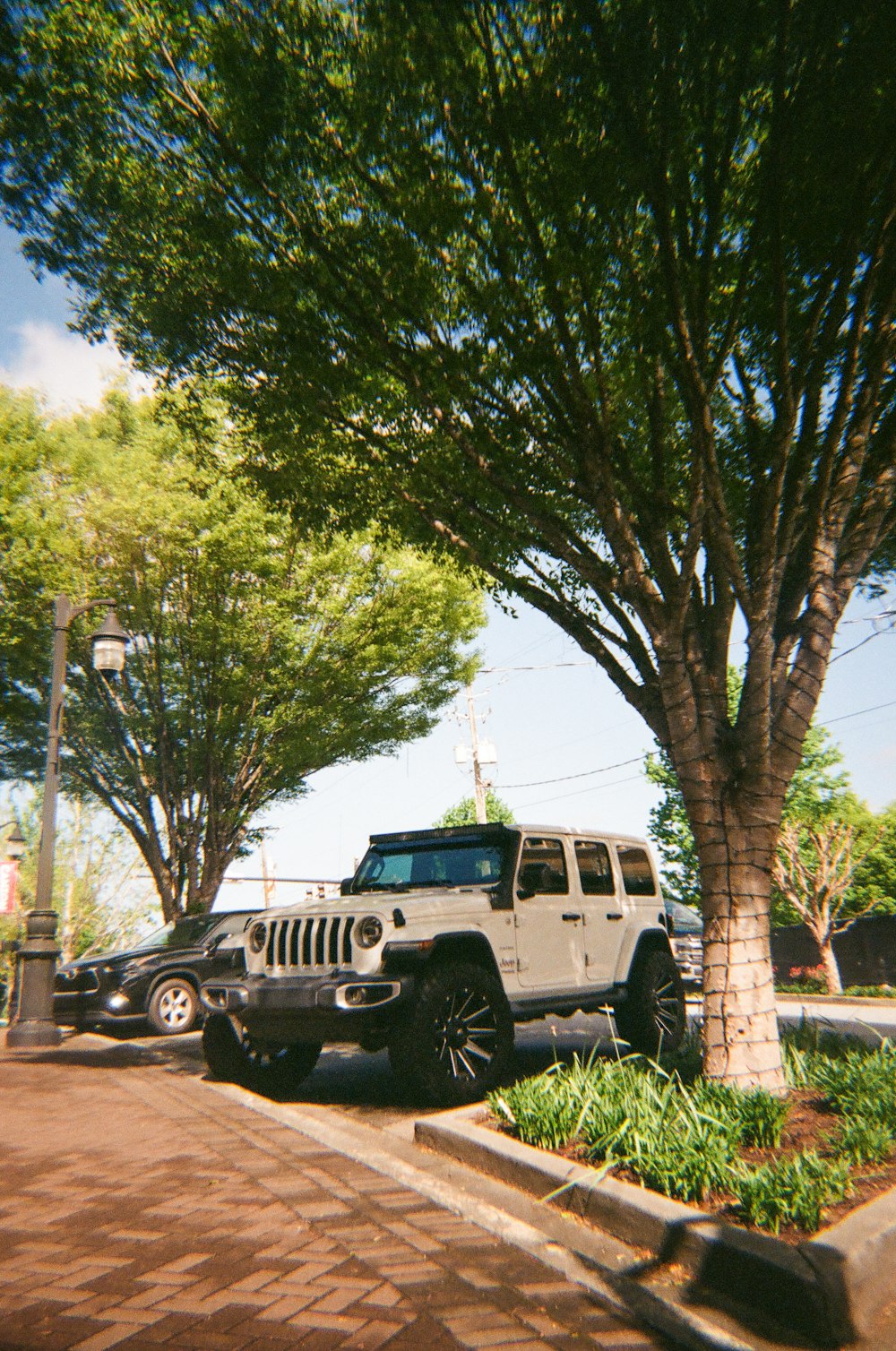 a white jeep parked next to a tree