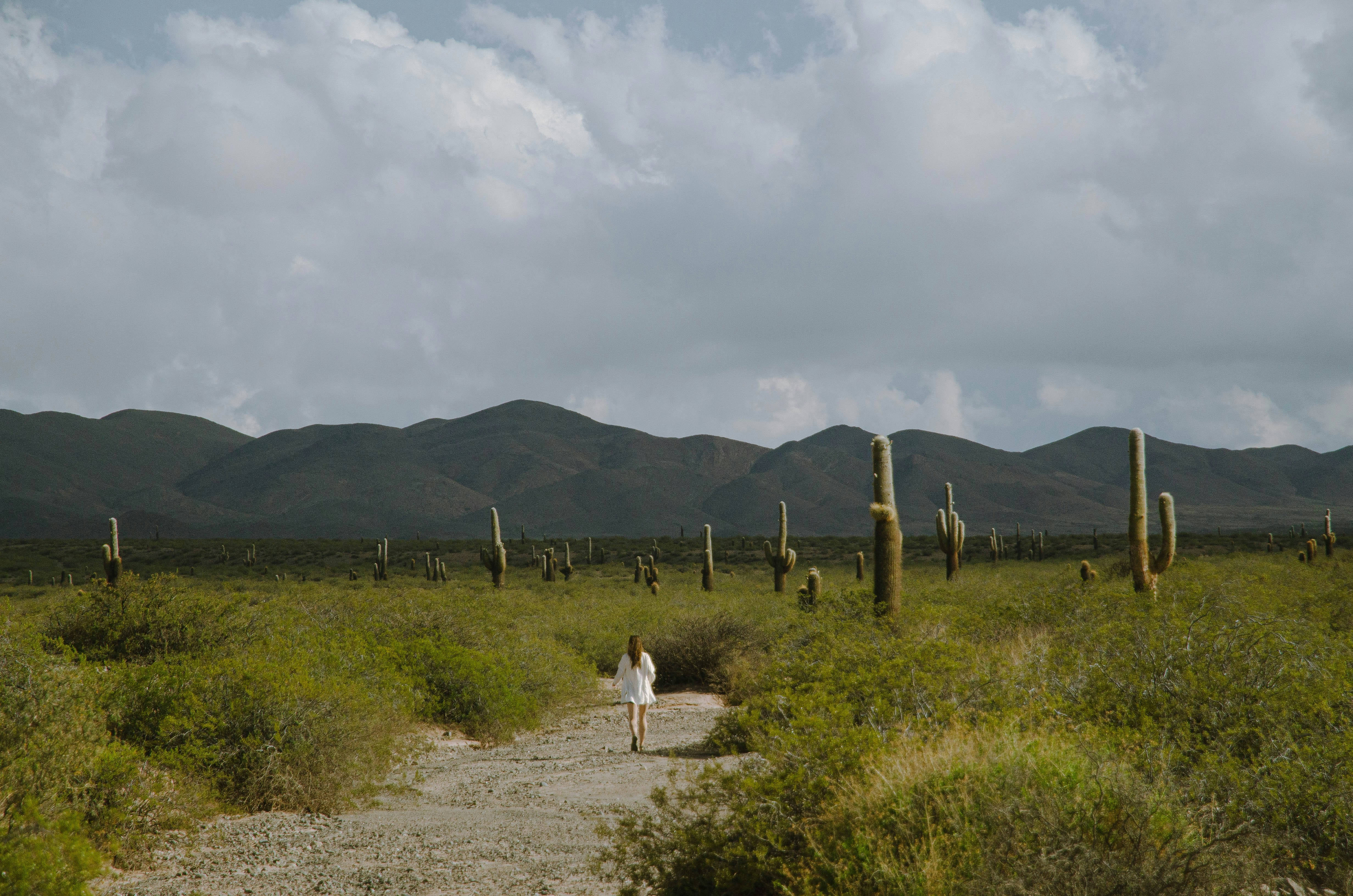 a person walking down a dirt path in a field, 