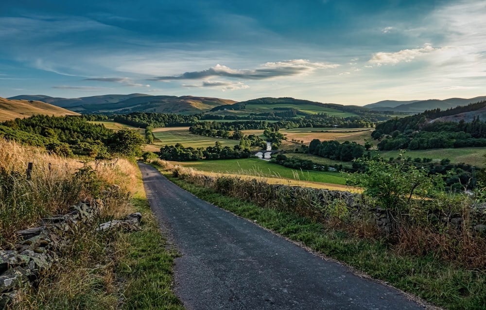 a dirt road going through a lush green countryside