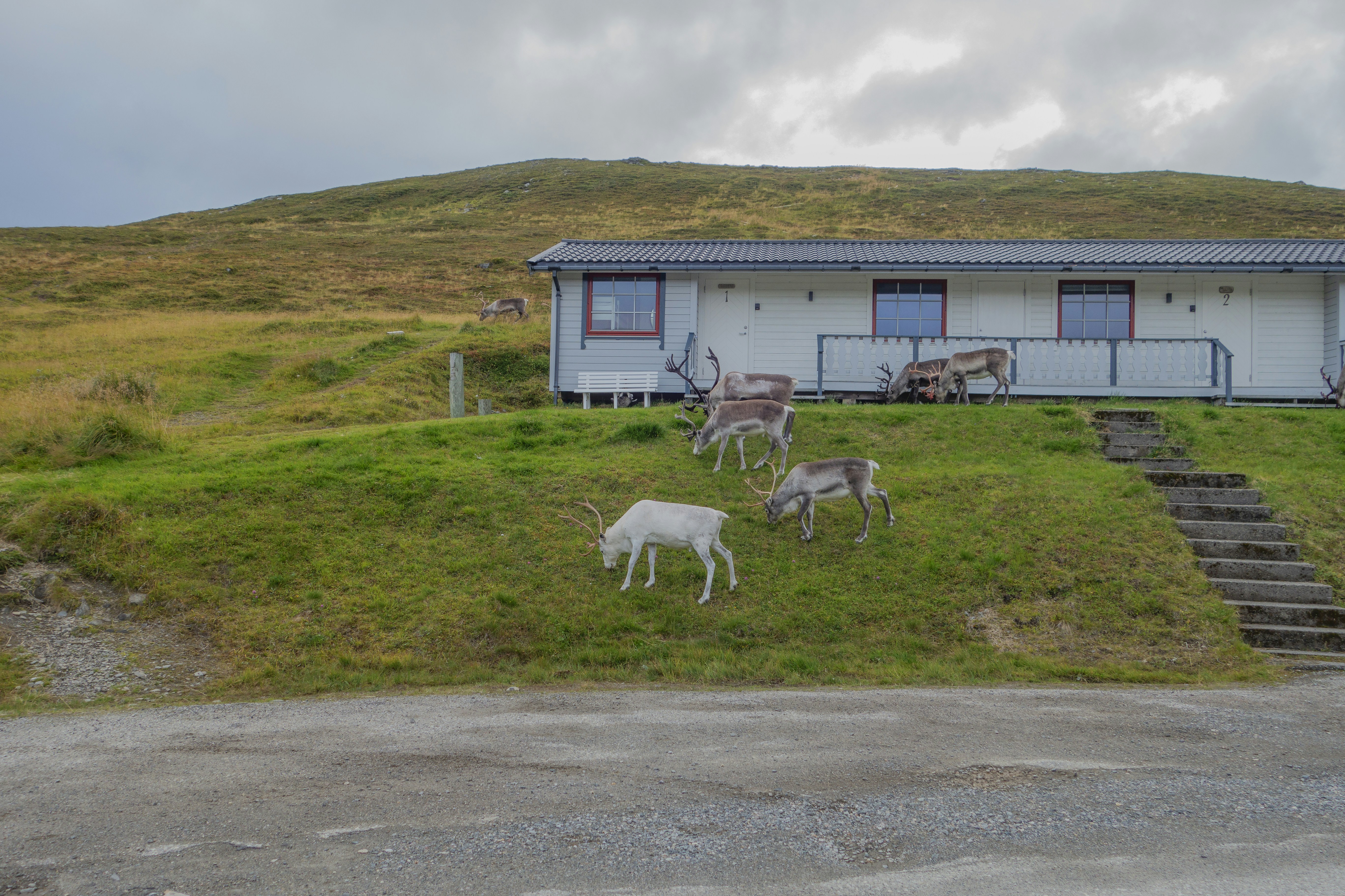 Refuge des Carottes Rieuses