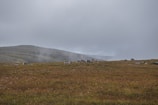Reindeer herders of Northern Mongolia guiding their herd through a misty forest landscape.