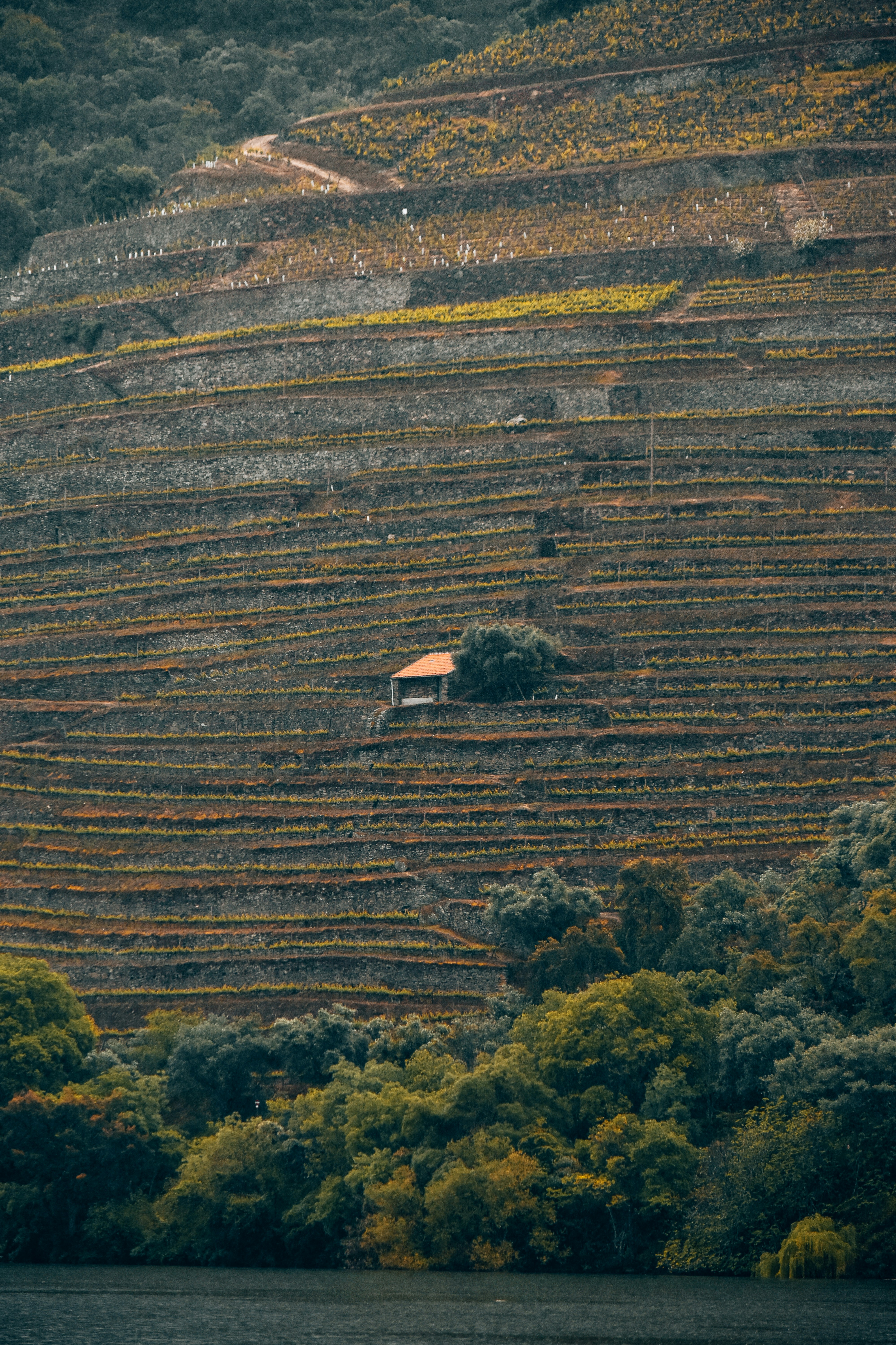 Photo by withjuliana_