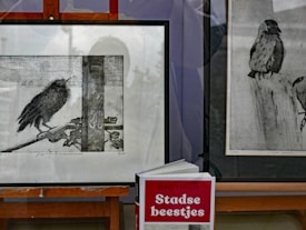 The image features two framed sketches of birds, one on the left showing a bird perched on a branch against a background of bricks, and one on the right depicting a bird sitting on a wooden post. In front of the sketches, there is a book titled 'Stadse beestjes' by Remco Daalder, standing upright.