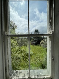 Garden view from a room window with green plants and a glimpse of a sunny sky.