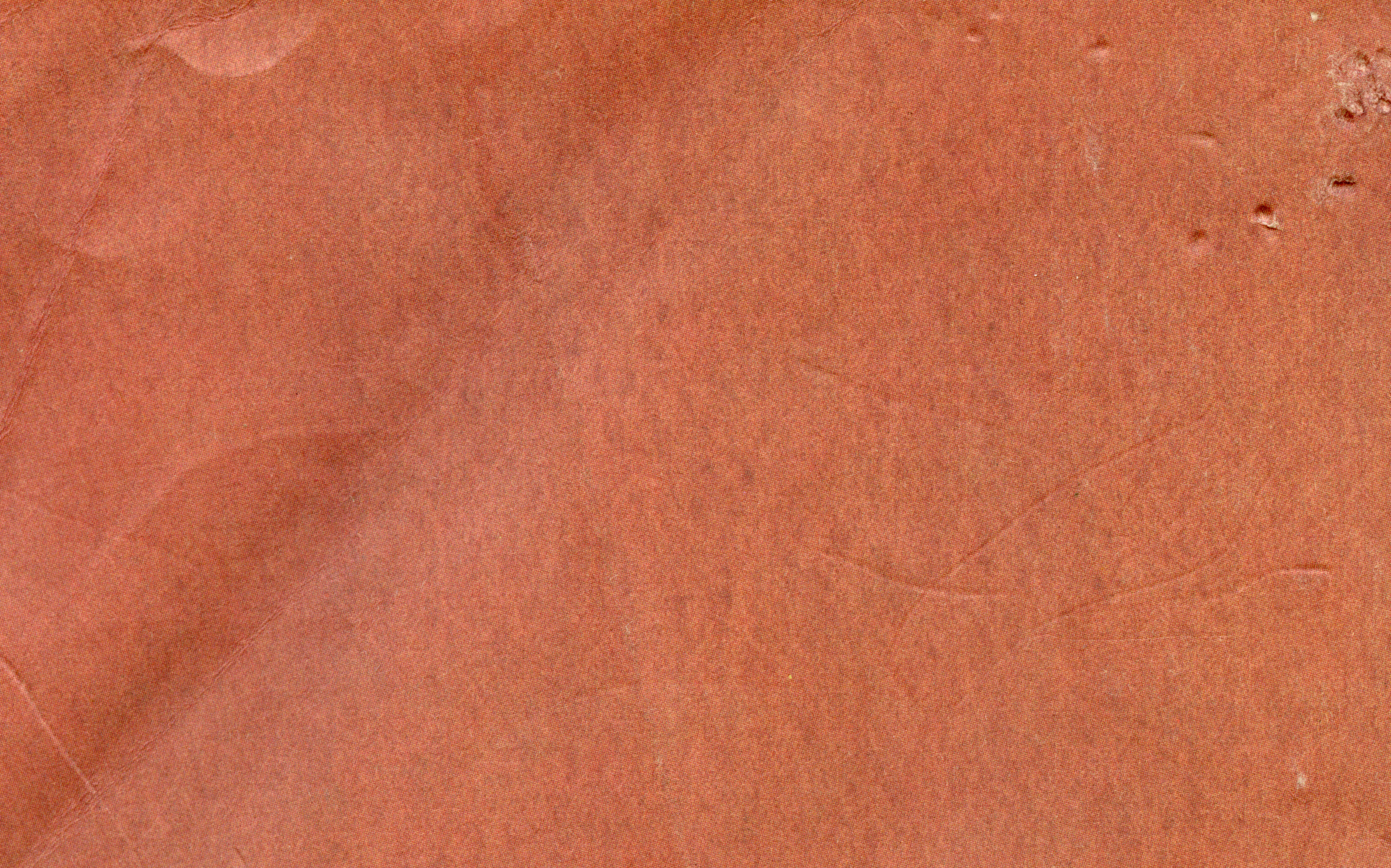 Paperback Book Cover