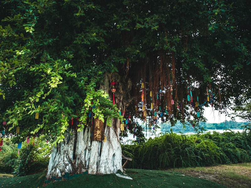Fortune tree