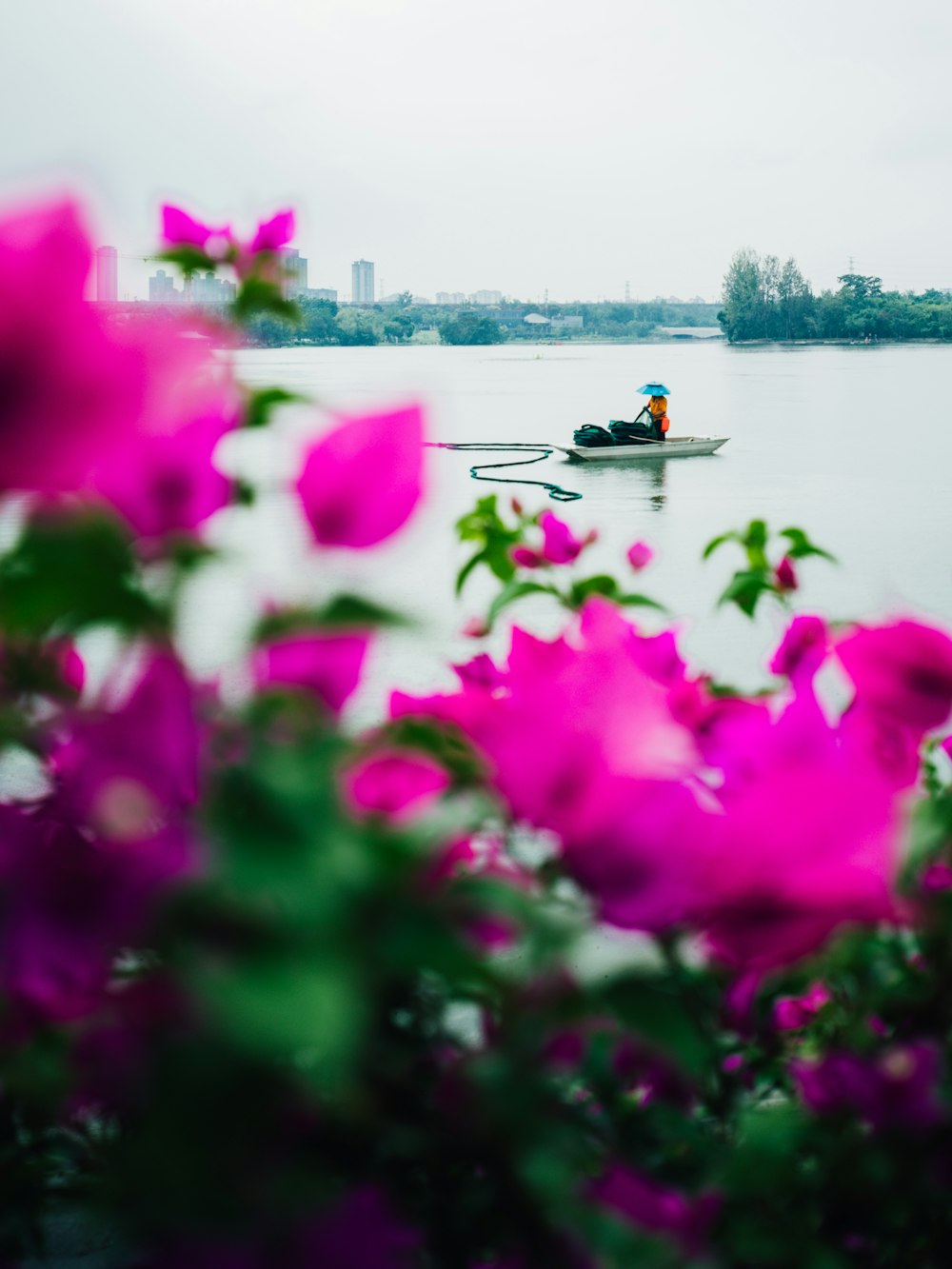 a person in a small boat on a body of water