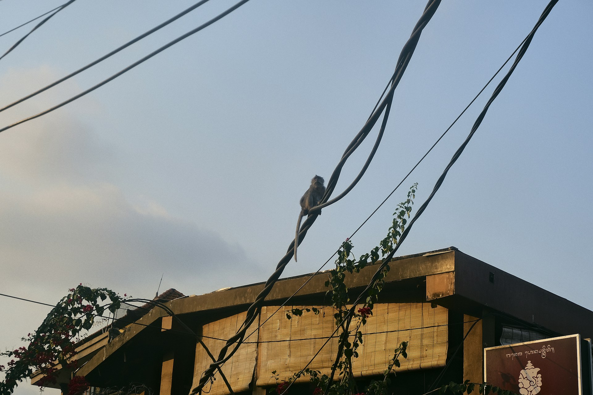 gray computer monitor