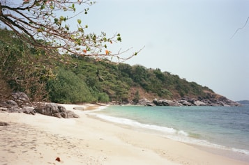 A serene beach scene with golden sand lining the shore, clear turquoise water gently meeting the sand. Dense green foliage and trees cover the small rocky hillside in the background, while tree branches with green leaves and a few red ones extend from the side over the beach.