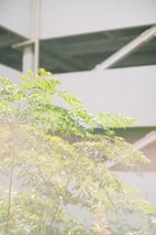 Lush green landscape blending harmoniously with an industrial installation emphasizing eco-friendly engineering.