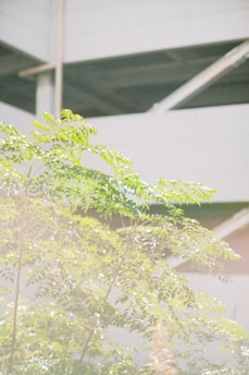 Lush green landscape blending harmoniously with an industrial installation emphasizing eco-friendly engineering.