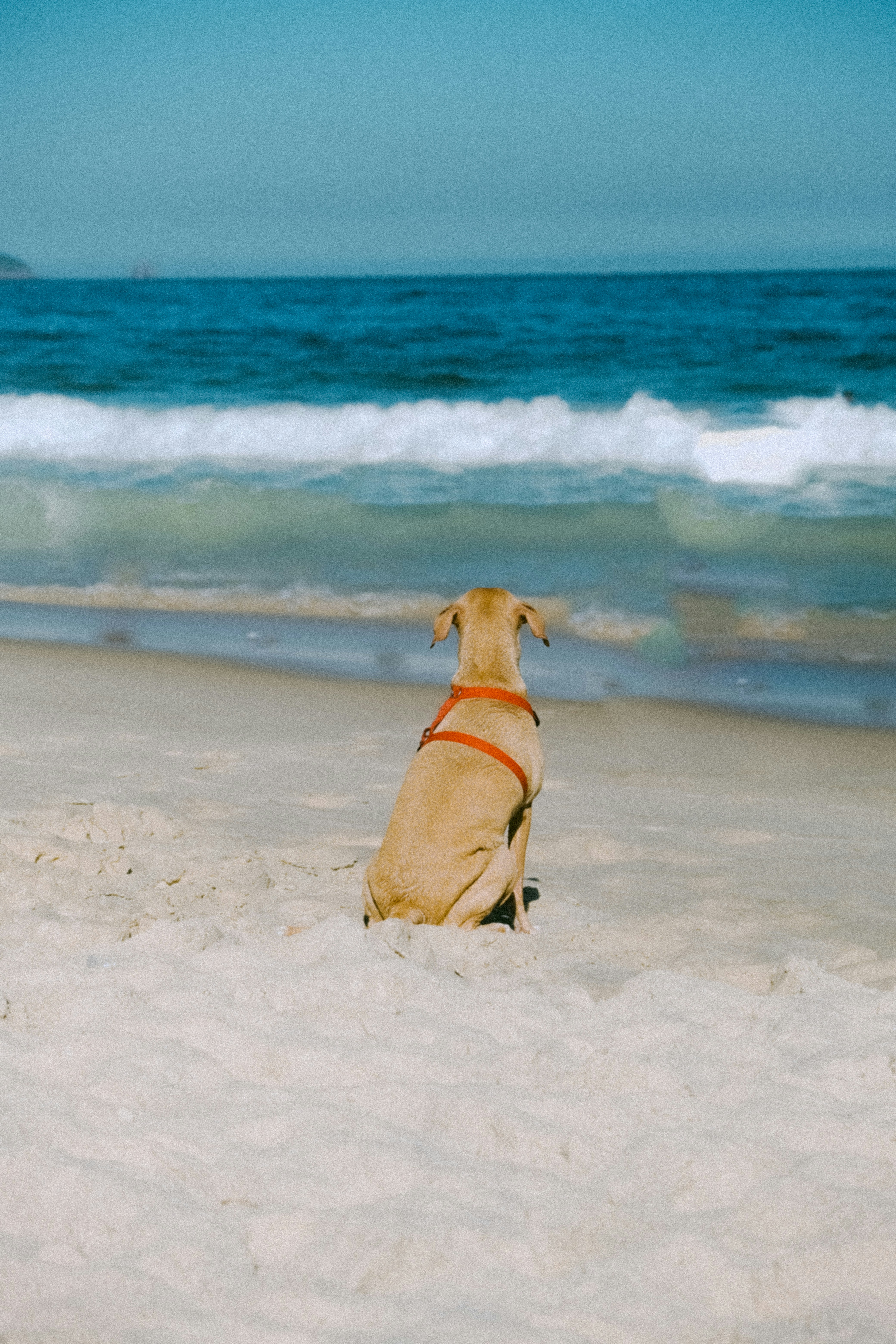 Photo by gabriellemeschini