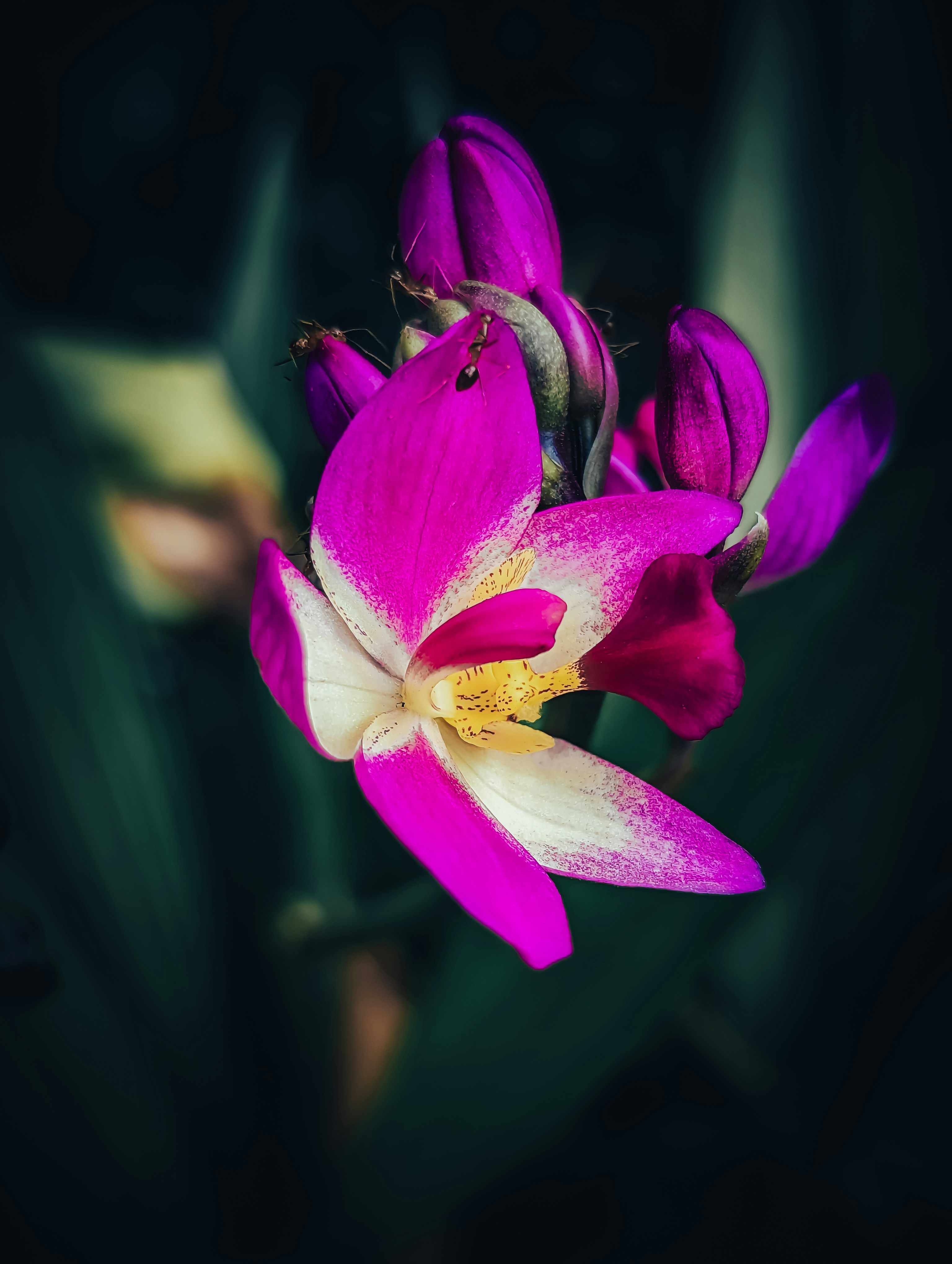 Photo by srtn