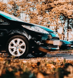 A black car is parked in an outdoor setting surrounded by autumn trees with orange and brown leaves on the ground. The car is shiny and clean, reflecting the surroundings on its surface. A number plate is visible on the front bumper. The background includes other parked cars and a road sign.