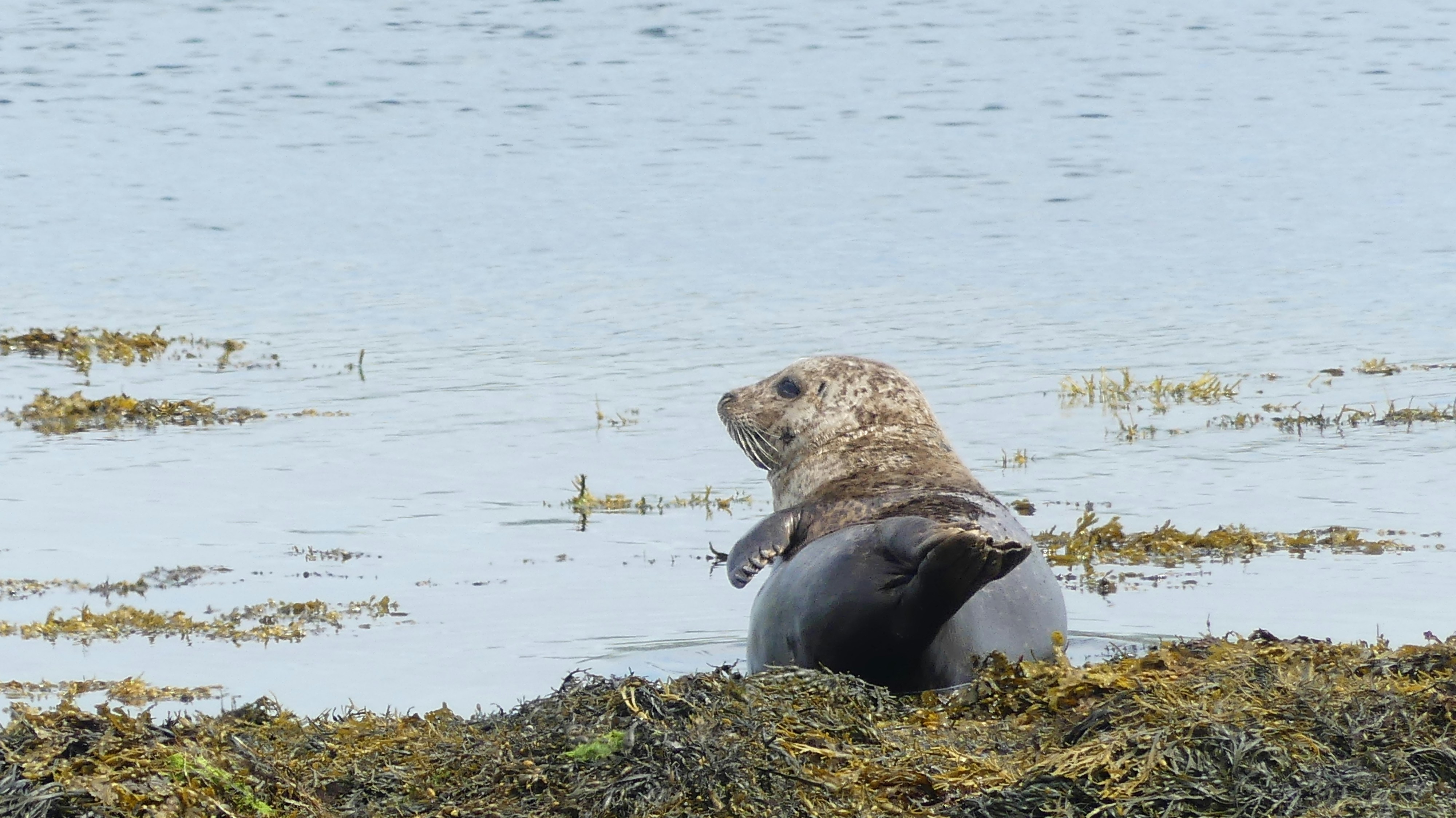 Photo by spring2freedom