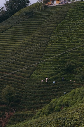 Smart farming technology with sensors monitoring hilly terrain crops.