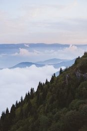 a view of a mountain covered in clouds and trees
