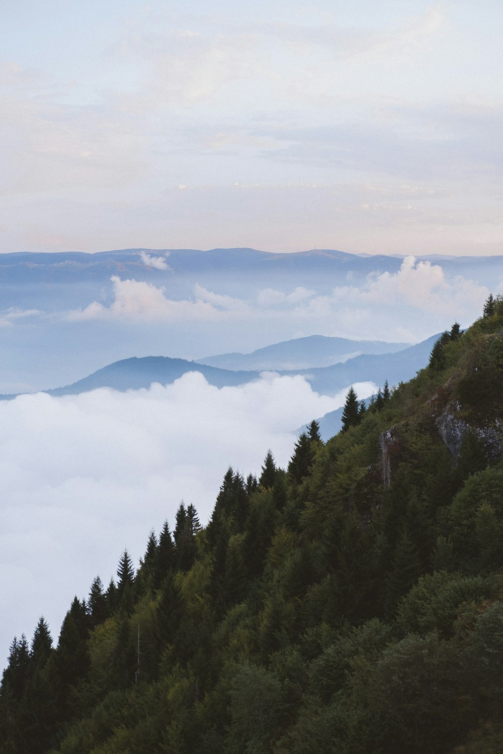 a view of a mountain covered in clouds and trees