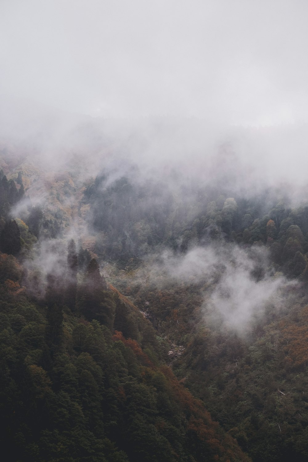 a mountain covered in fog and low lying clouds