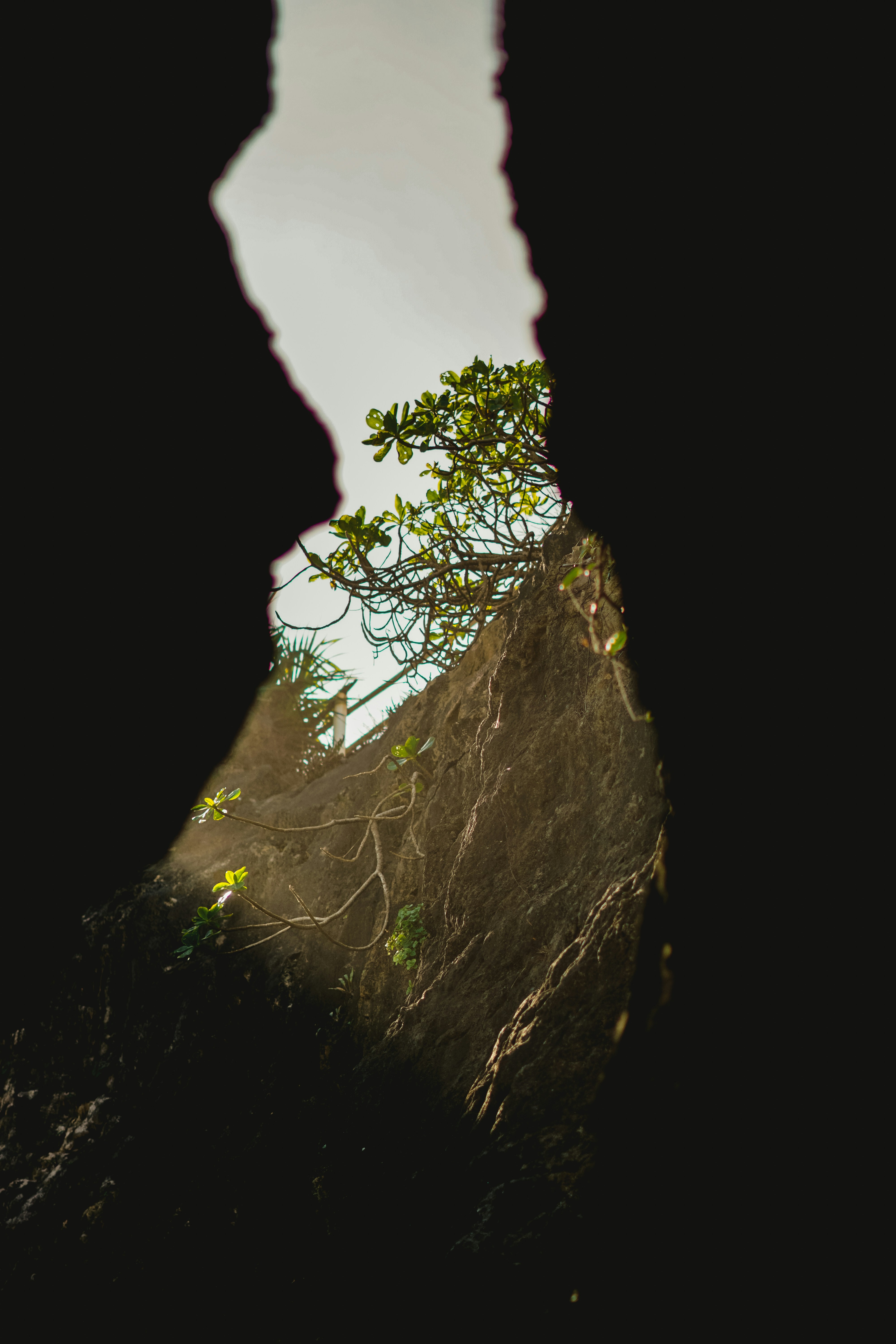 Photo by abizahy