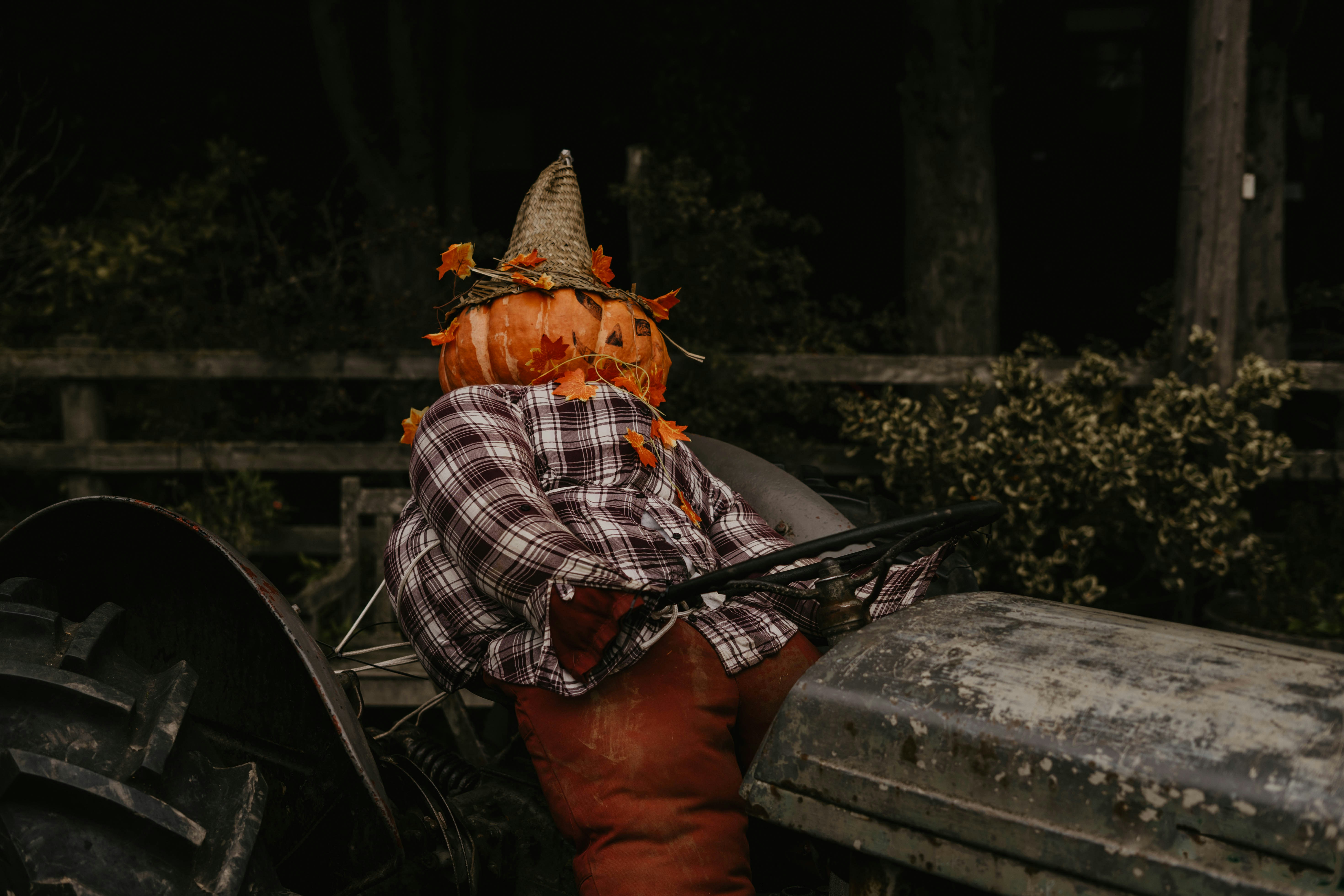 Fremont Troll photo 3