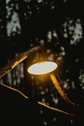 A warm, glowing lamp hangs from a wooden branch, casting light in a dim, forested environment. The background consists of blurred, dark tree silhouettes, enhancing the contrast between the bright lamp and the surrounding darkness.